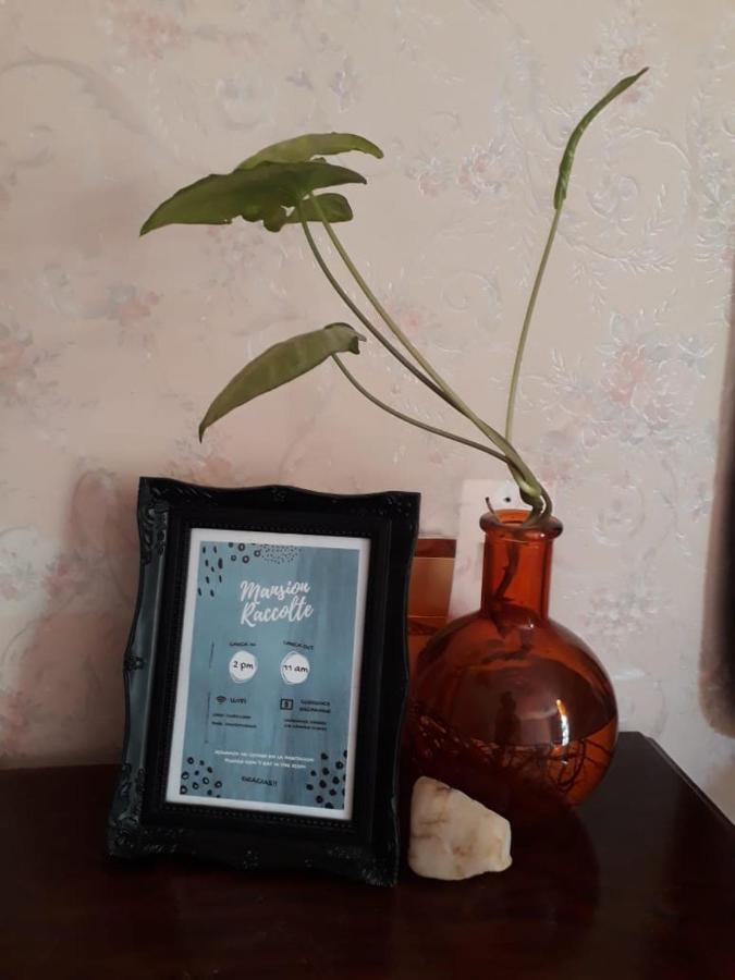 Appartamento Mendoza - Bed & Brunch Esterno foto